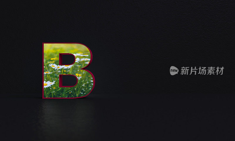 字母B -带照片背景- 3d渲染
